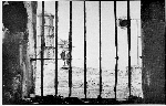 Vestiges du Bagne - La tour Dreyfus  Kourou vue depuis une cellule du pnitencier, 1962